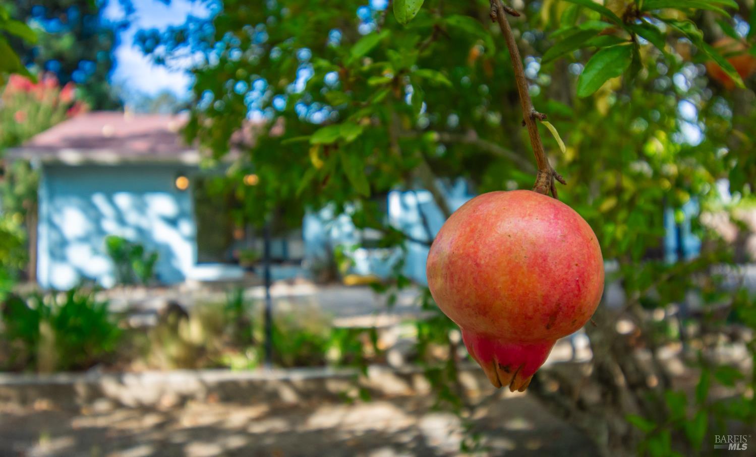 4022 Browns Valley Rd