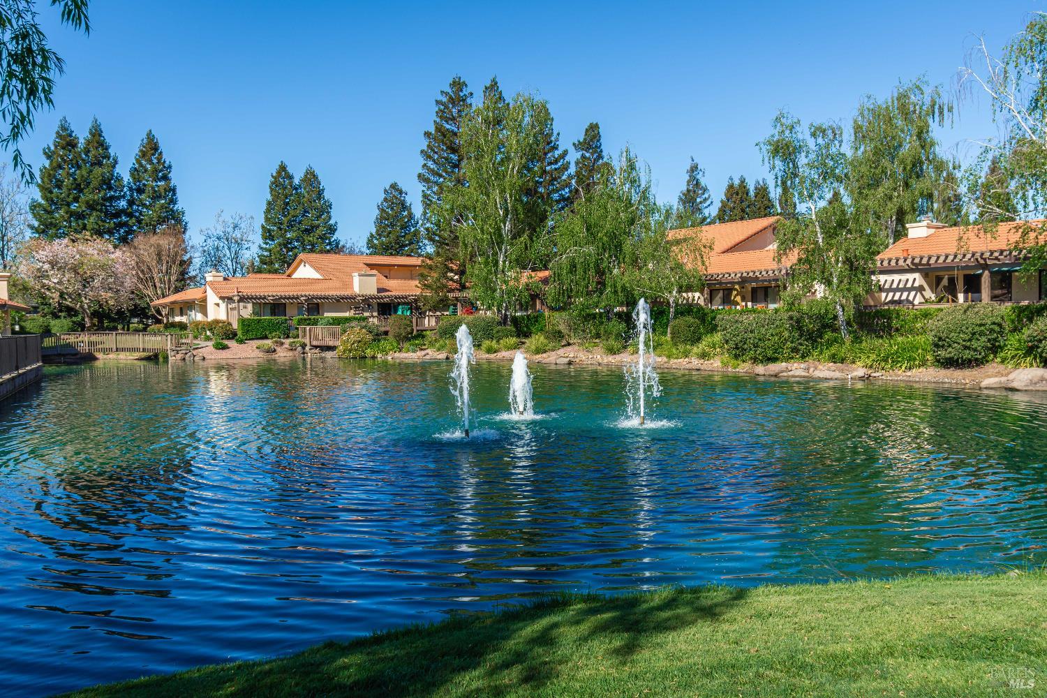 80 Fountain Grove Circle