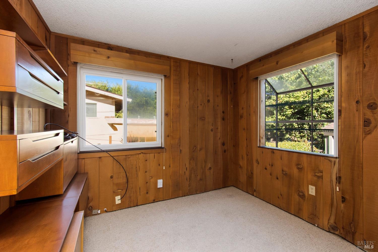 Empty wood-paneled room with built-in cabinetry, beige carpet, and two windows overlooking greenery.