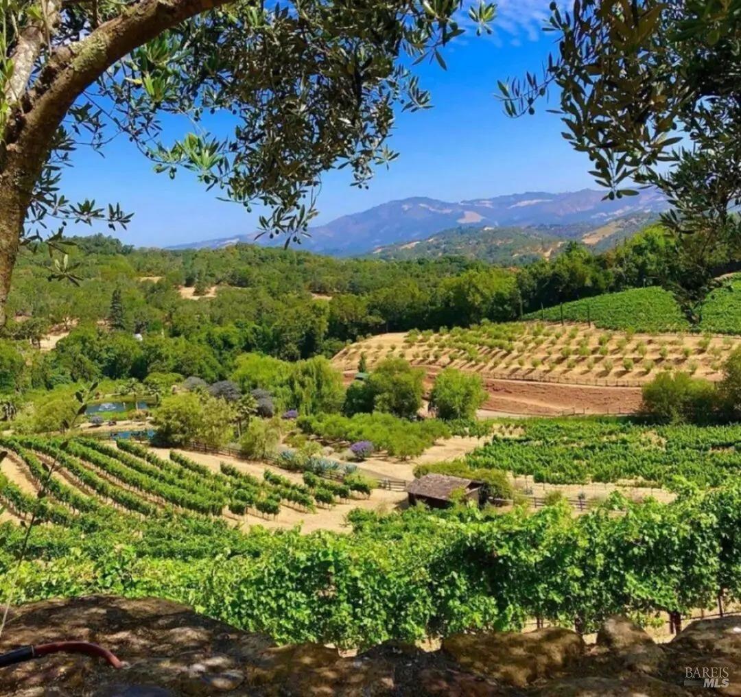 8100 Sonoma Mountain Rd