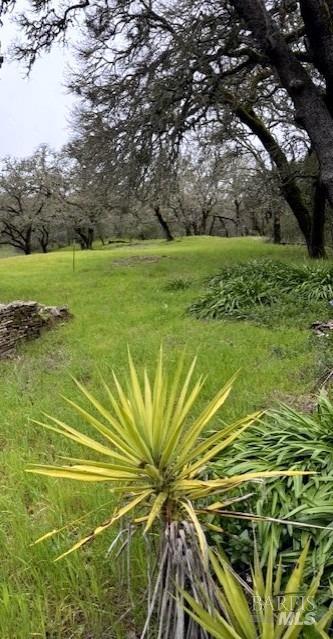 8100 Sonoma Mountain Rd