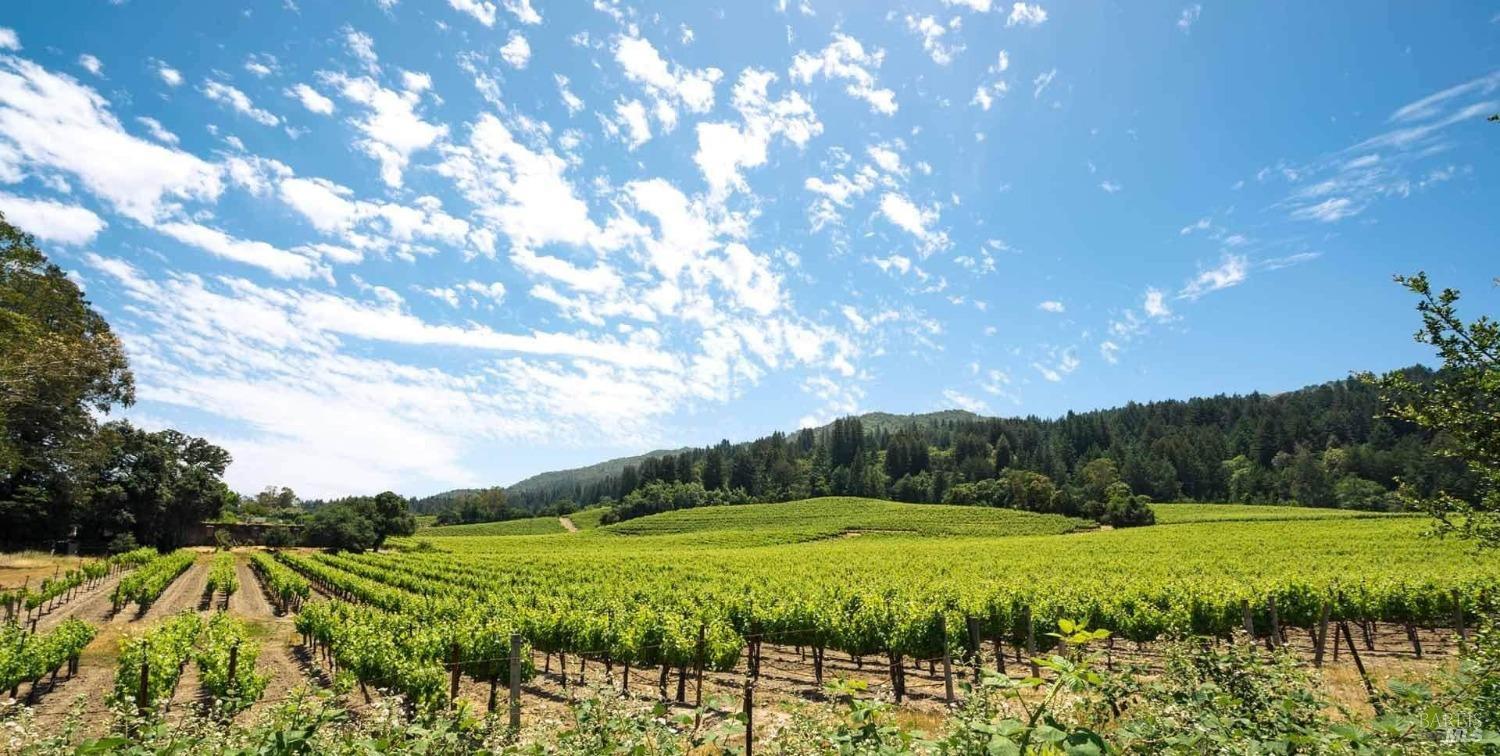 8100 Sonoma Mountain Rd