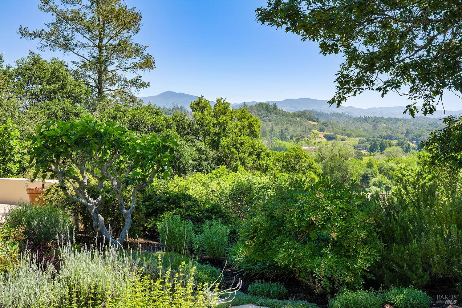 9981 W Dry Creek Rd