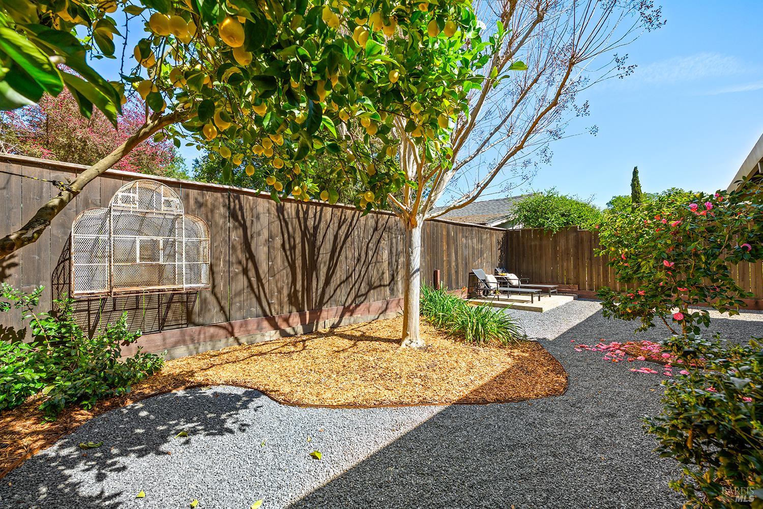 437 University Street