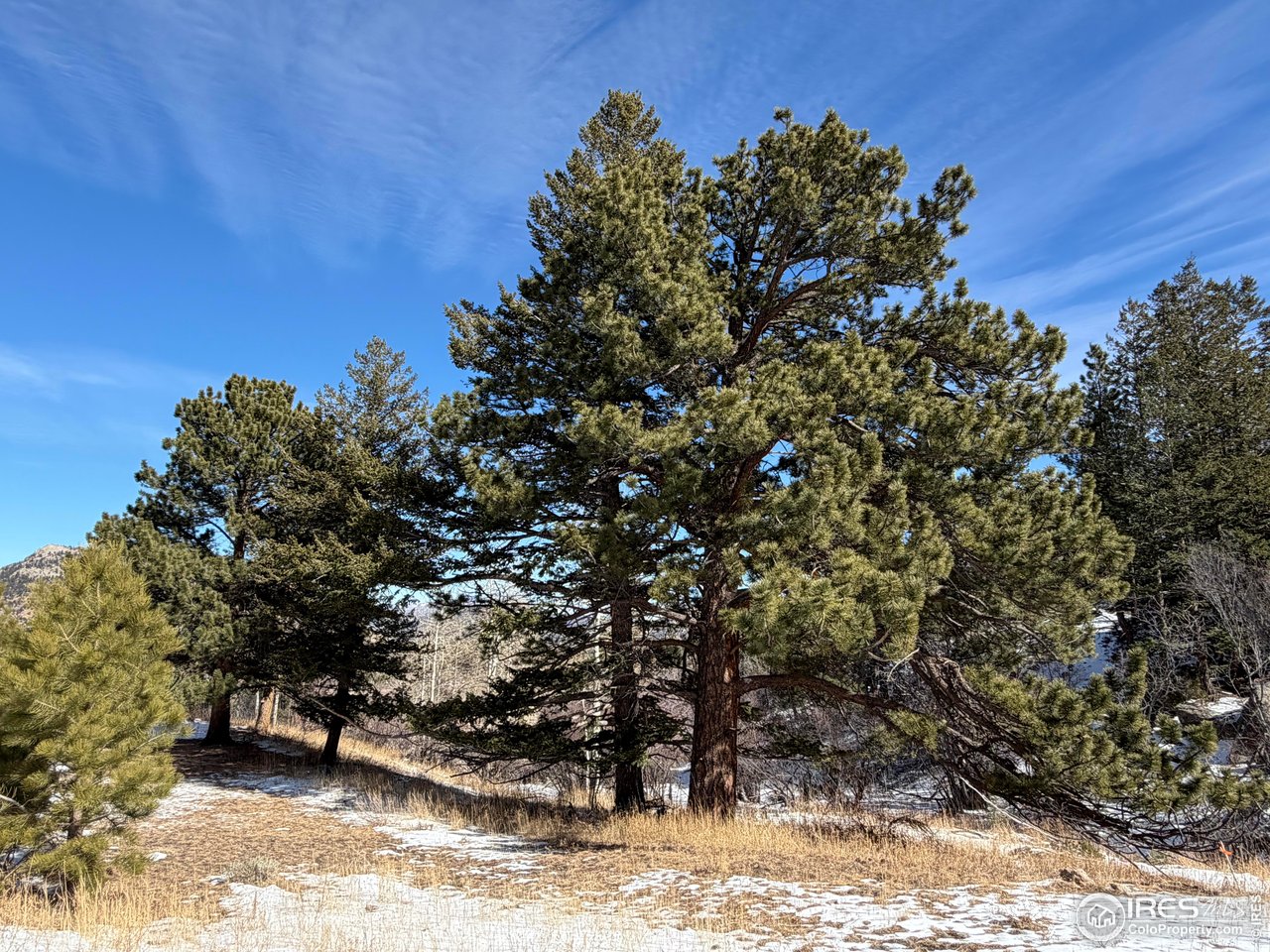 2799 Kiowa Ct Lot 24