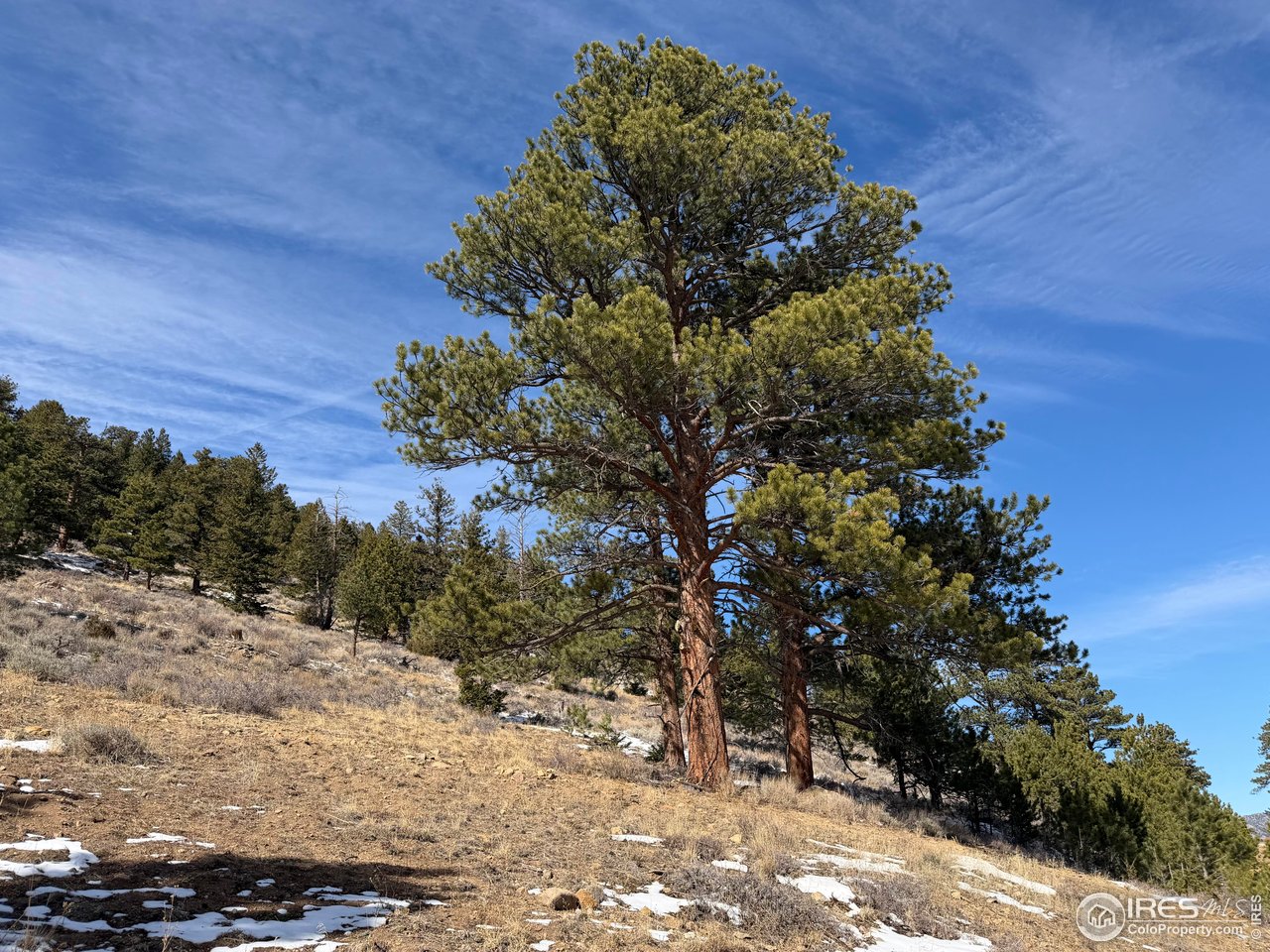 2799 Kiowa Ct Lot 24