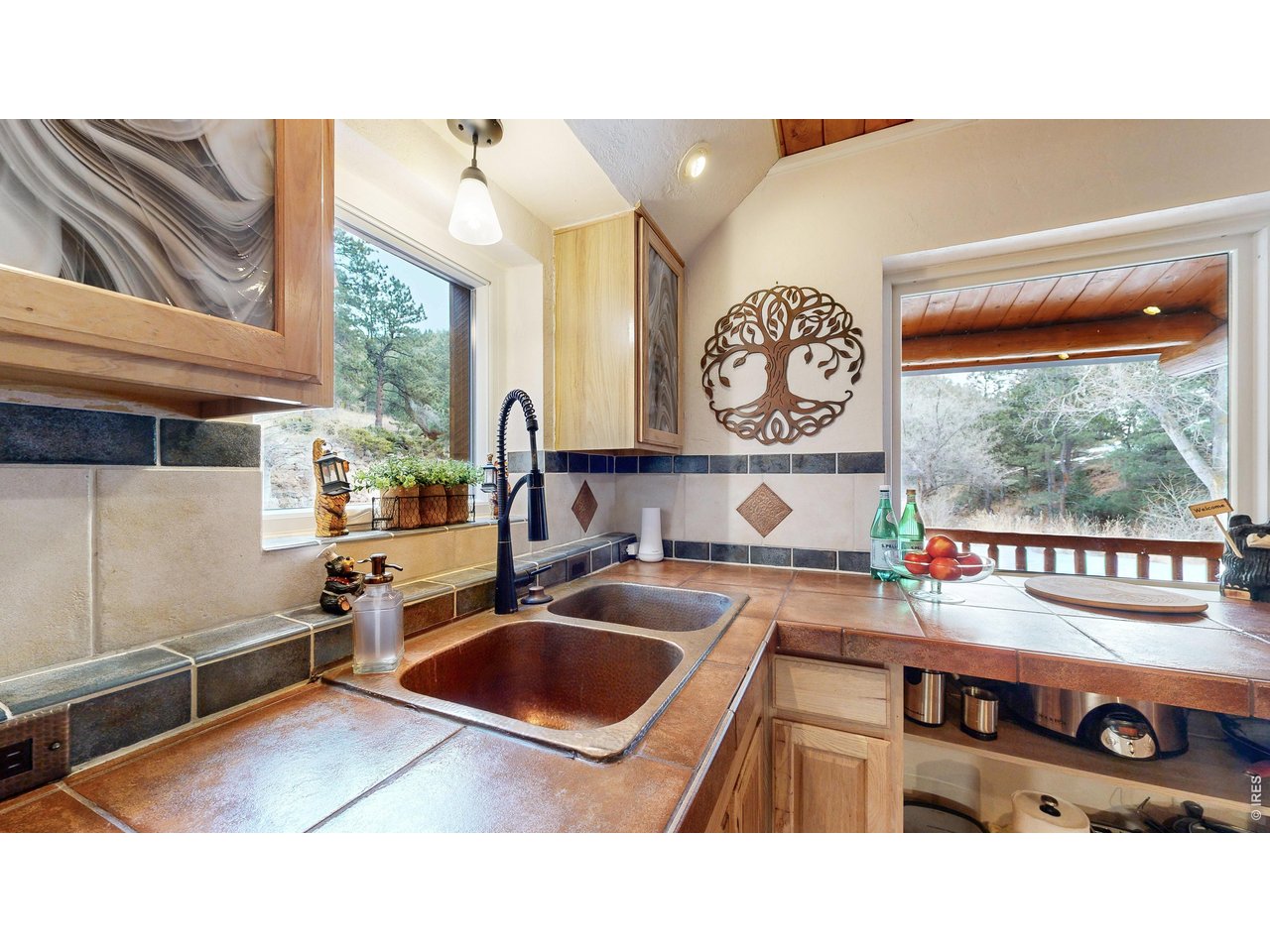 14142 N Saint Vrain Dr