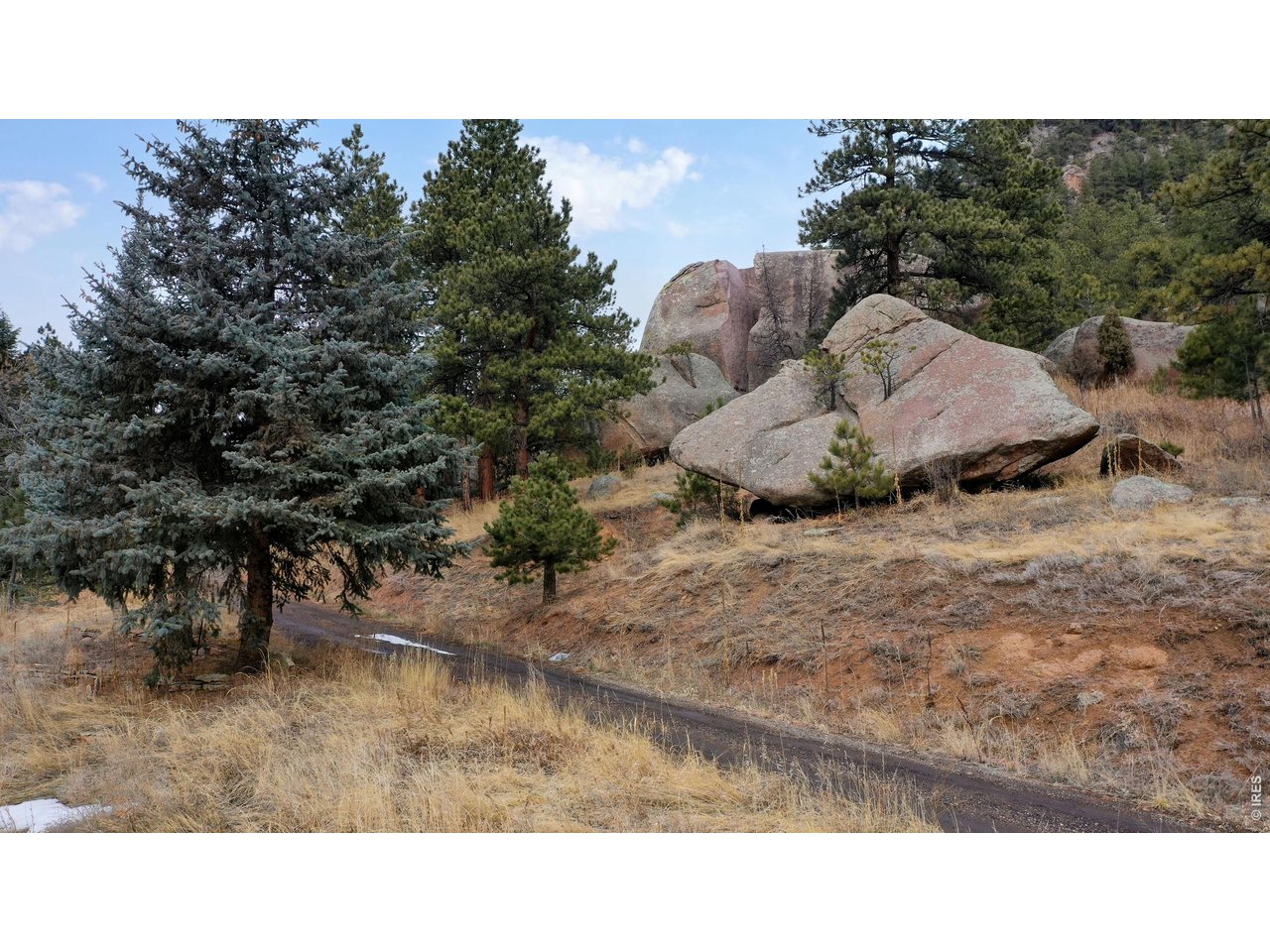 14142 N Saint Vrain Dr