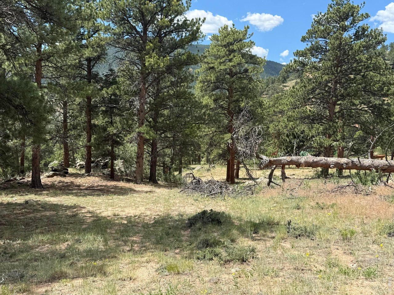 (TBD) Prospect Mountain Dr