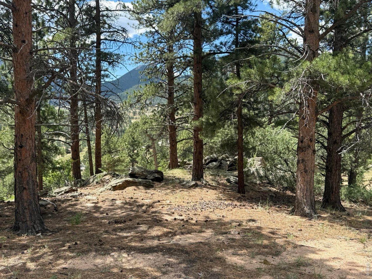 (TBD) Prospect Mountain Dr