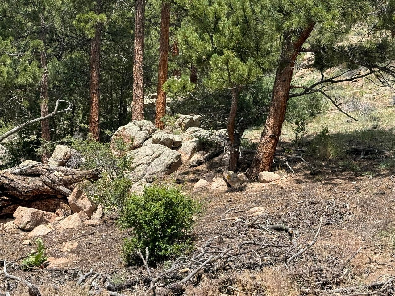 (TBD) Prospect Mountain Dr