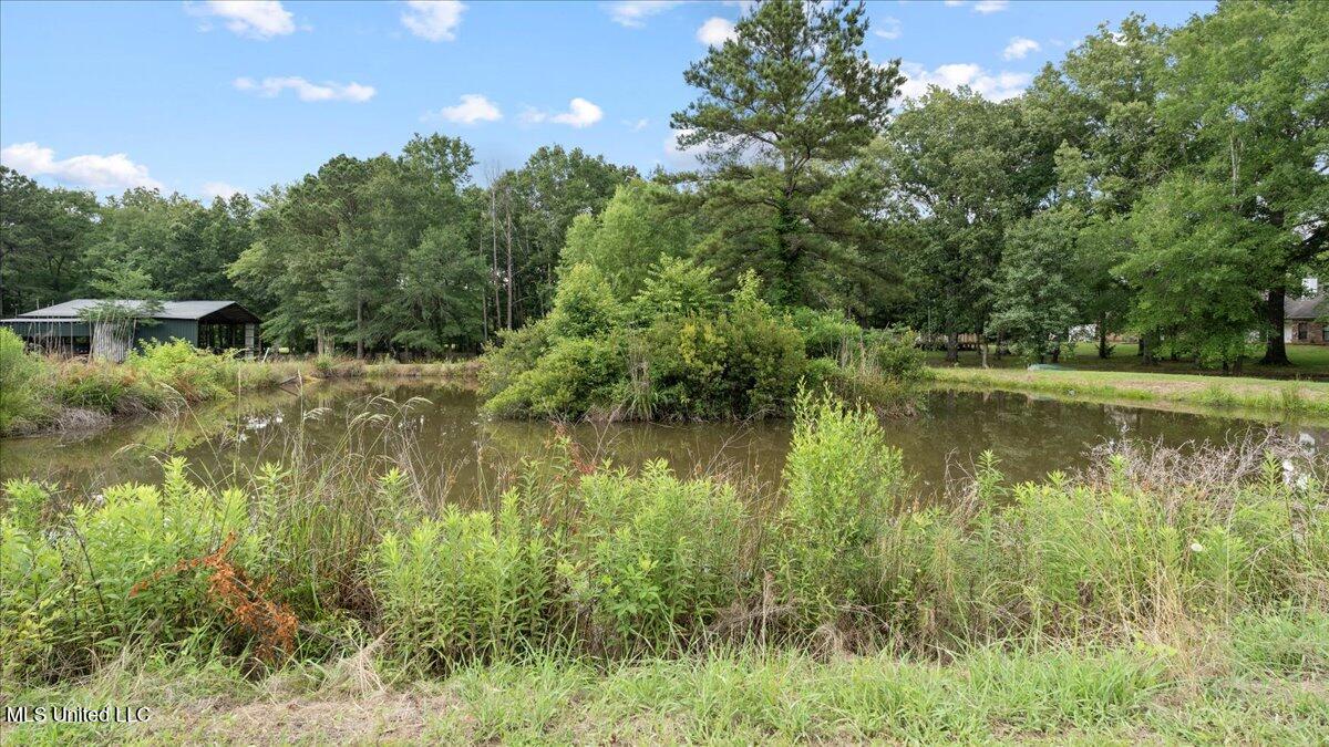 161 Goshen Springs Lane