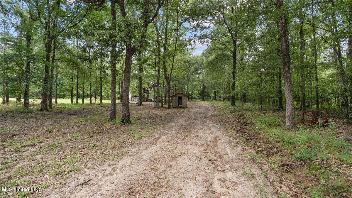 161 Goshen Springs Lane