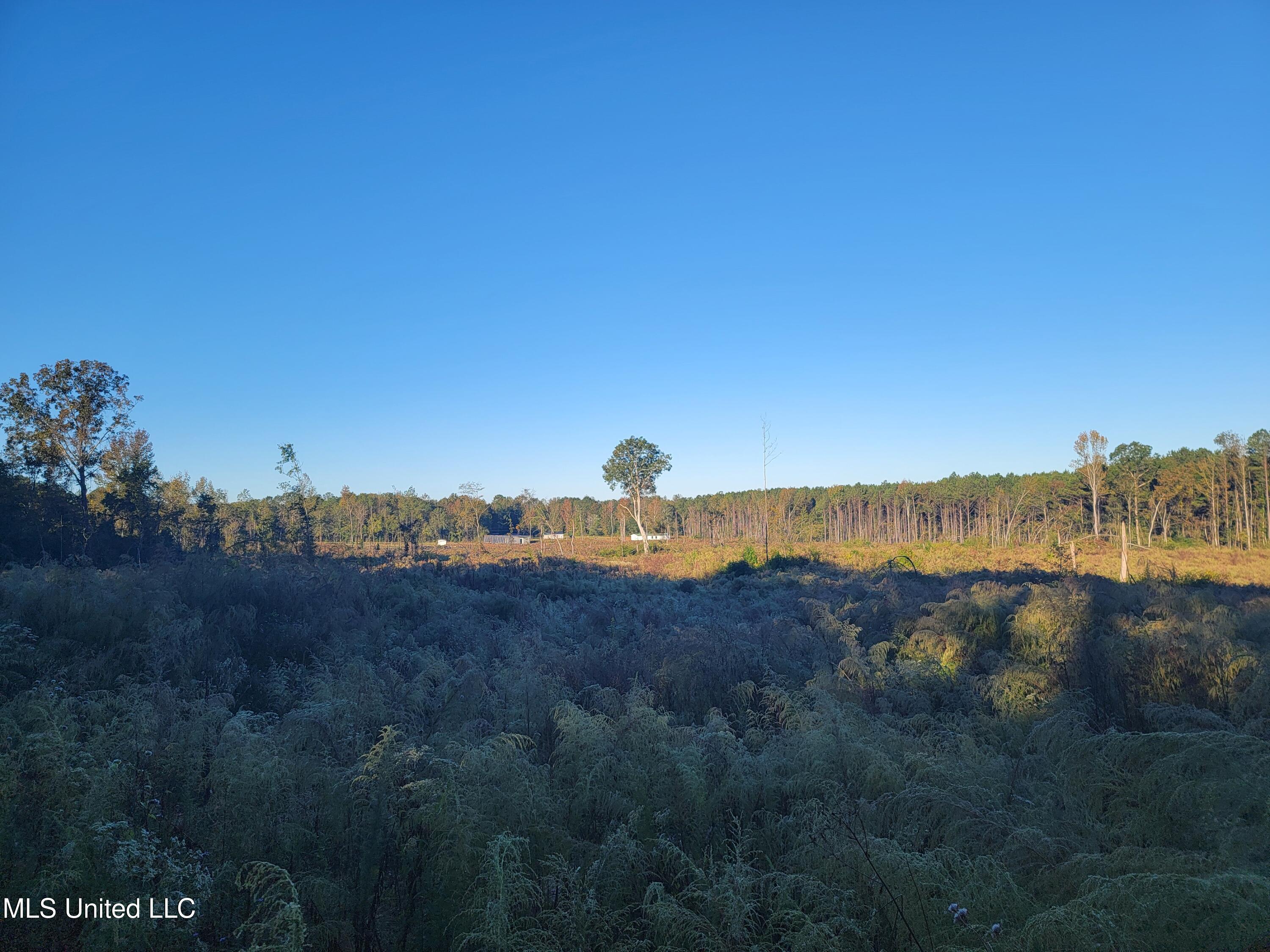 Haralson Lane, Forest