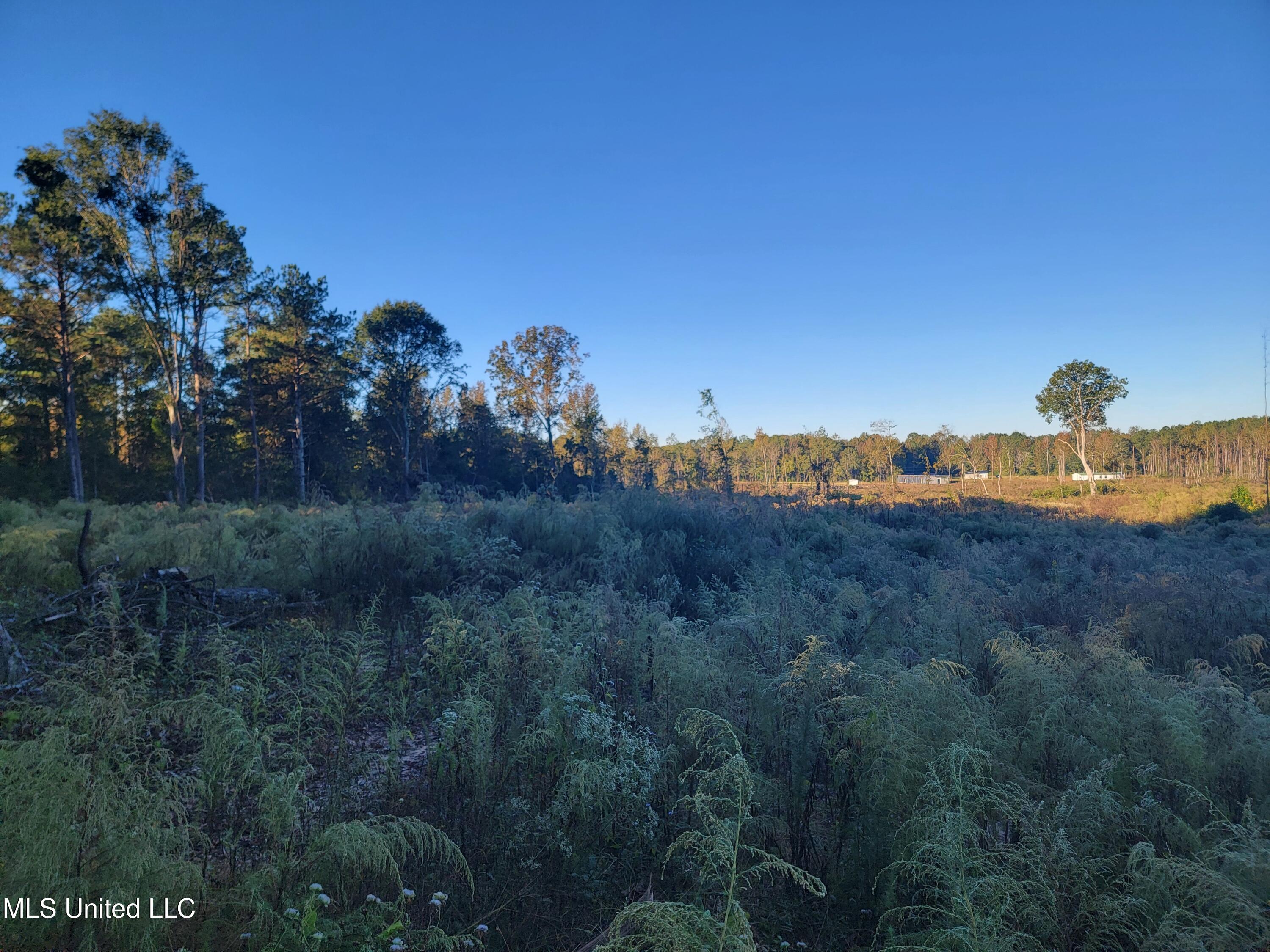 Haralson Lane, Forest
