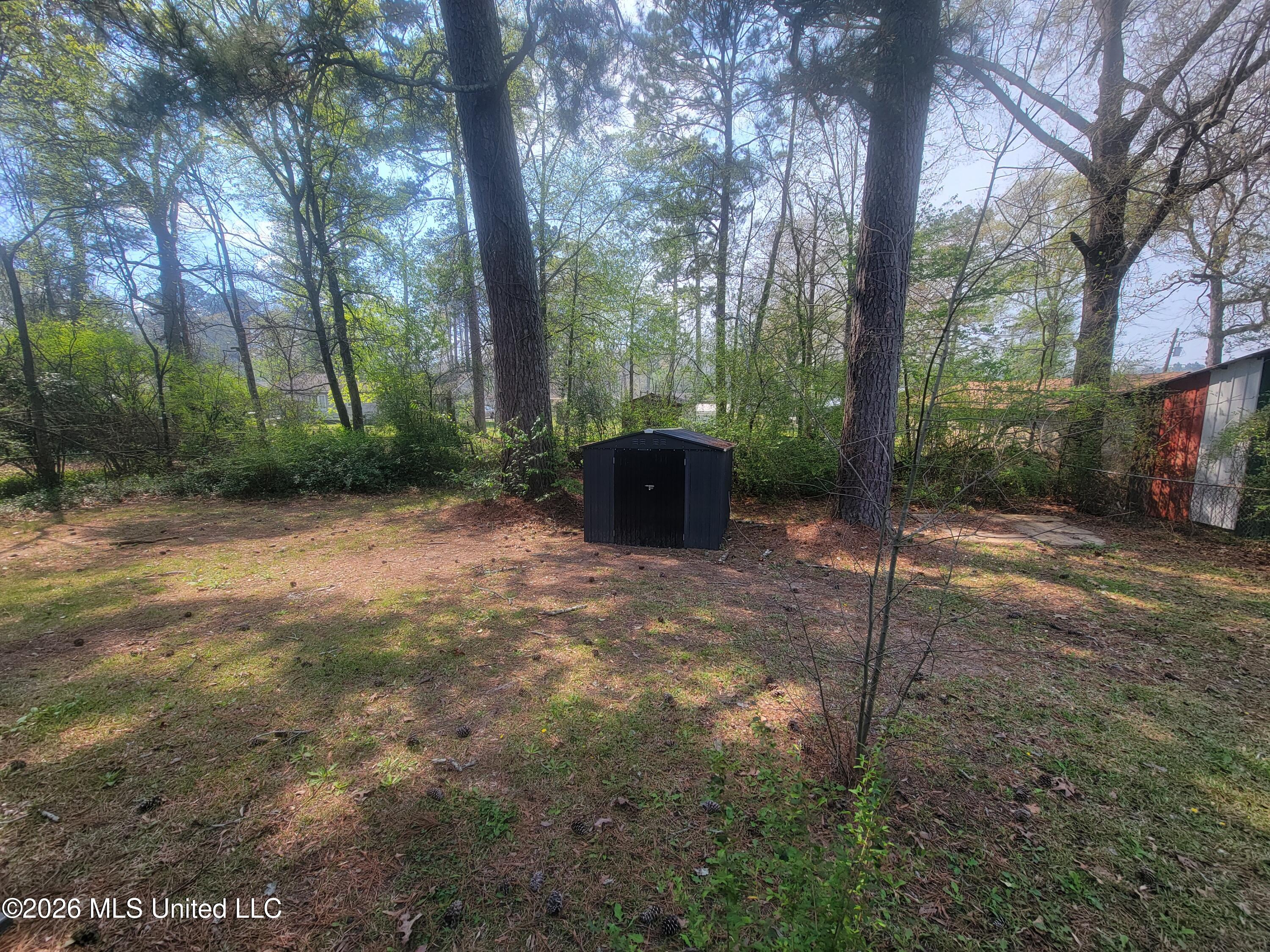 817 Roosevelt Street