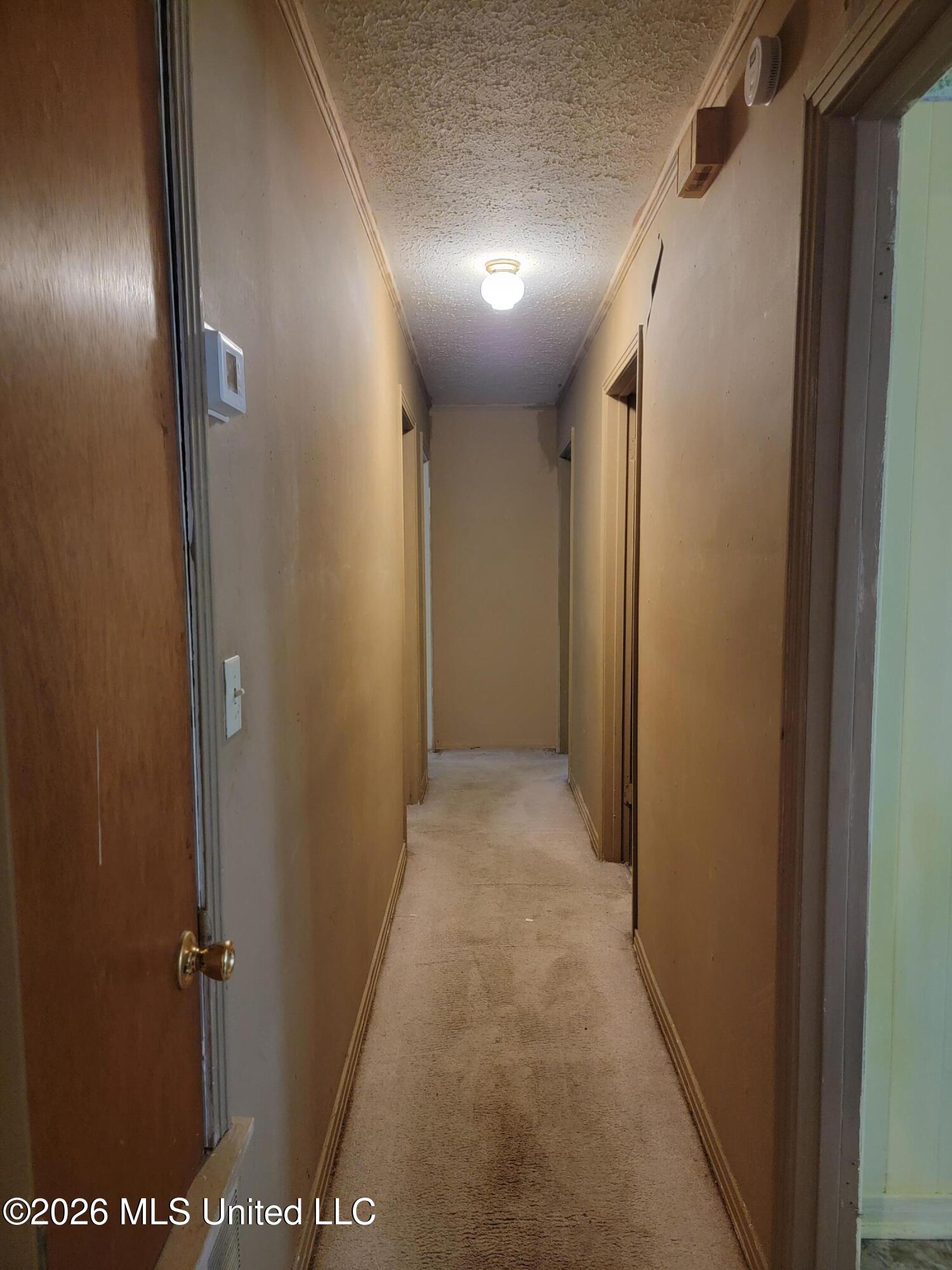 817 Roosevelt Street