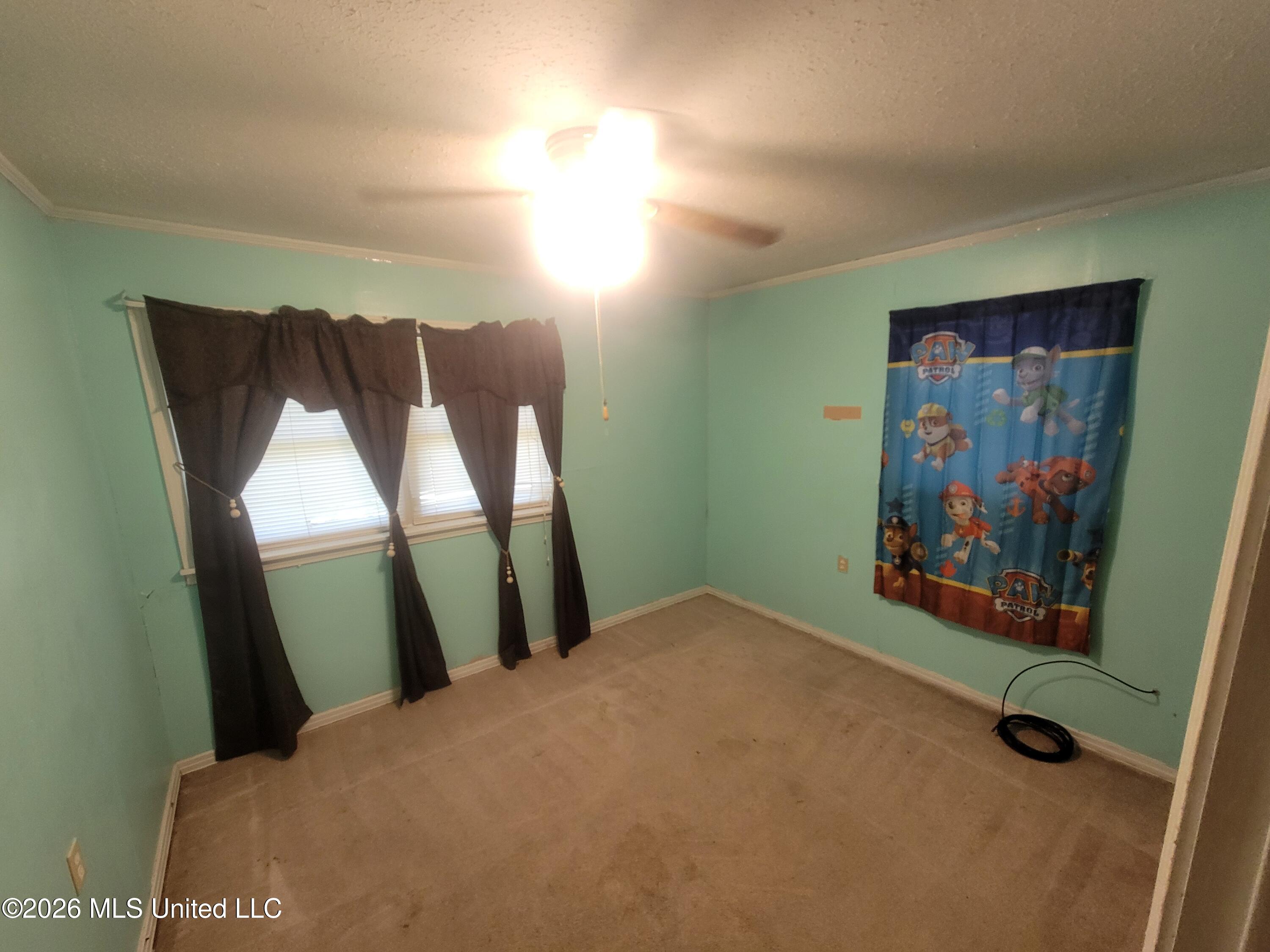 817 Roosevelt Street