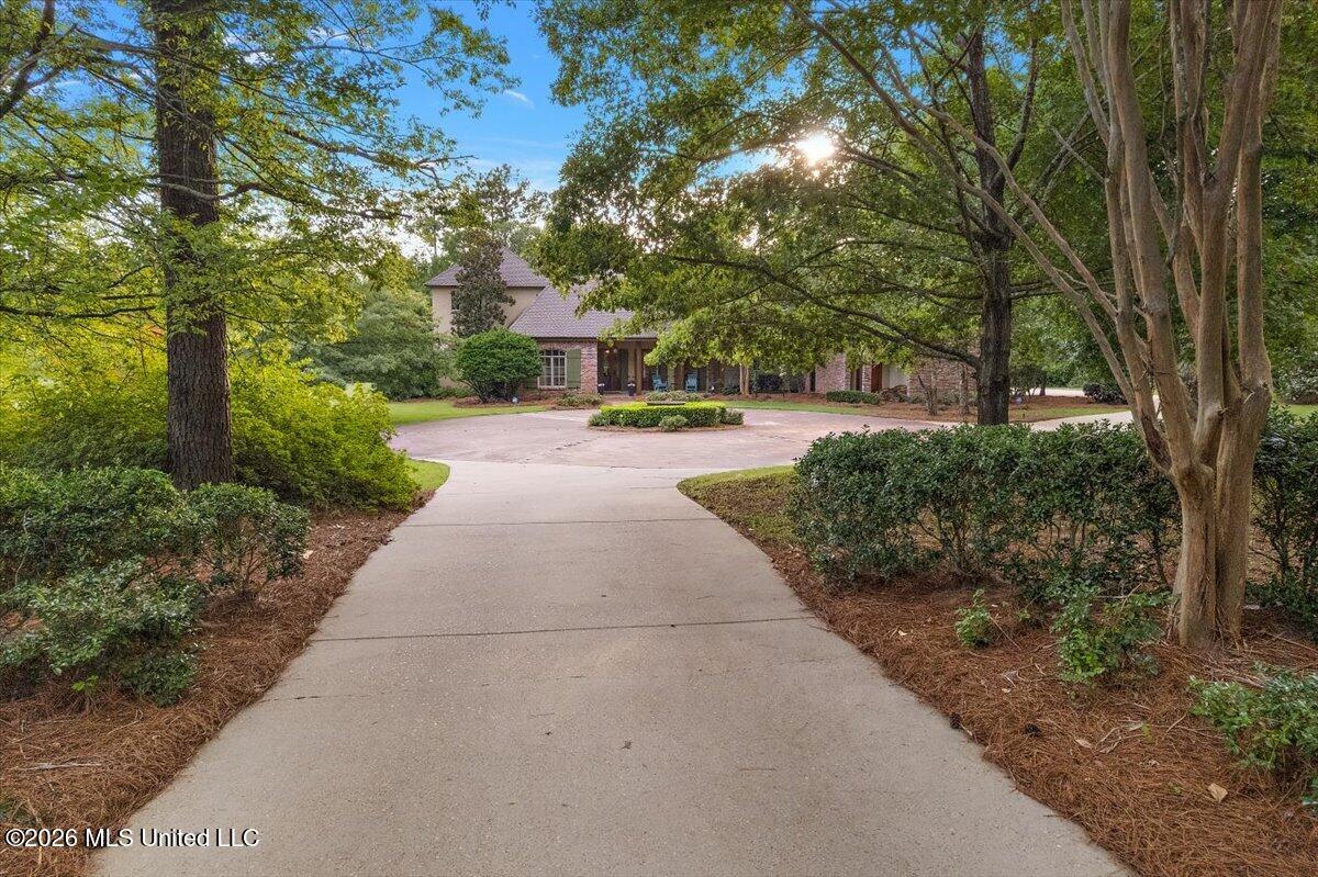 341 Johnstone Drive