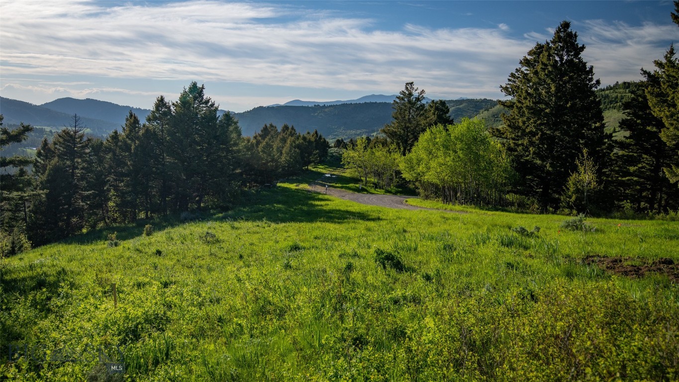 3539 Claim Creek Road