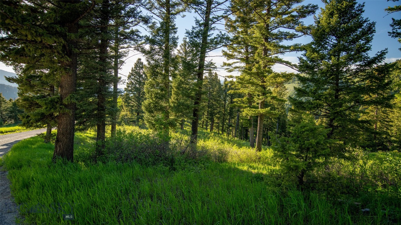 3539 Claim Creek Road