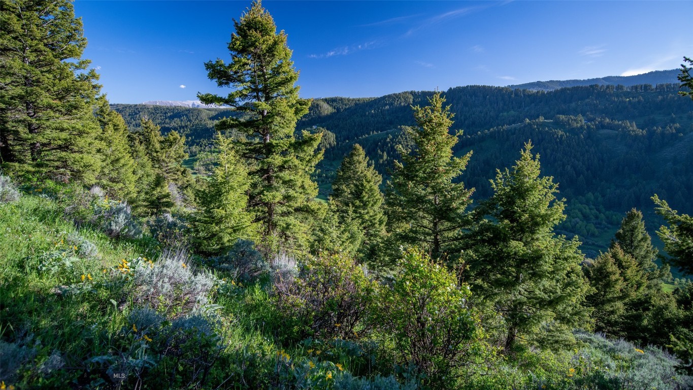 3539 Claim Creek Road