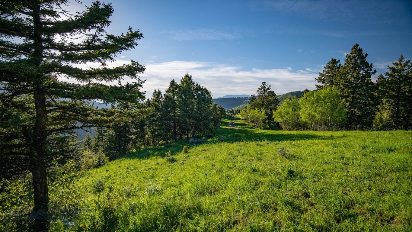 3539 Claim Creek Road