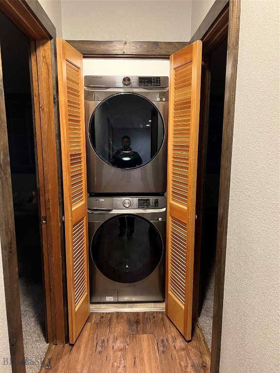 169 & 167 Grizzly Bear Loop