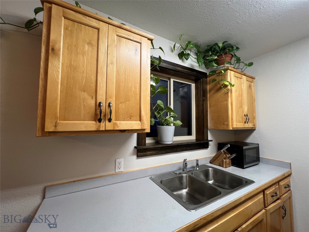 169 & 167 Grizzly Bear Loop