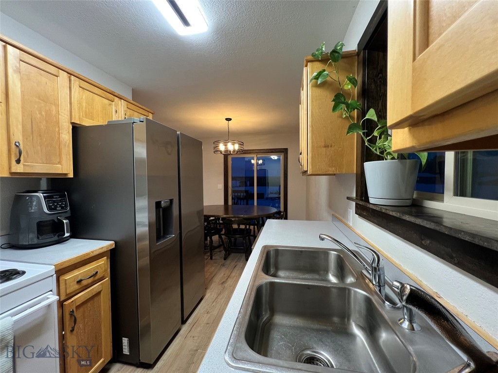 169 & 167 Grizzly Bear Loop