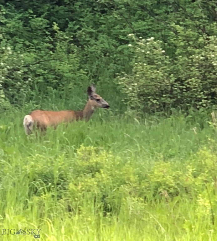 9775 Bridger Canyon Road