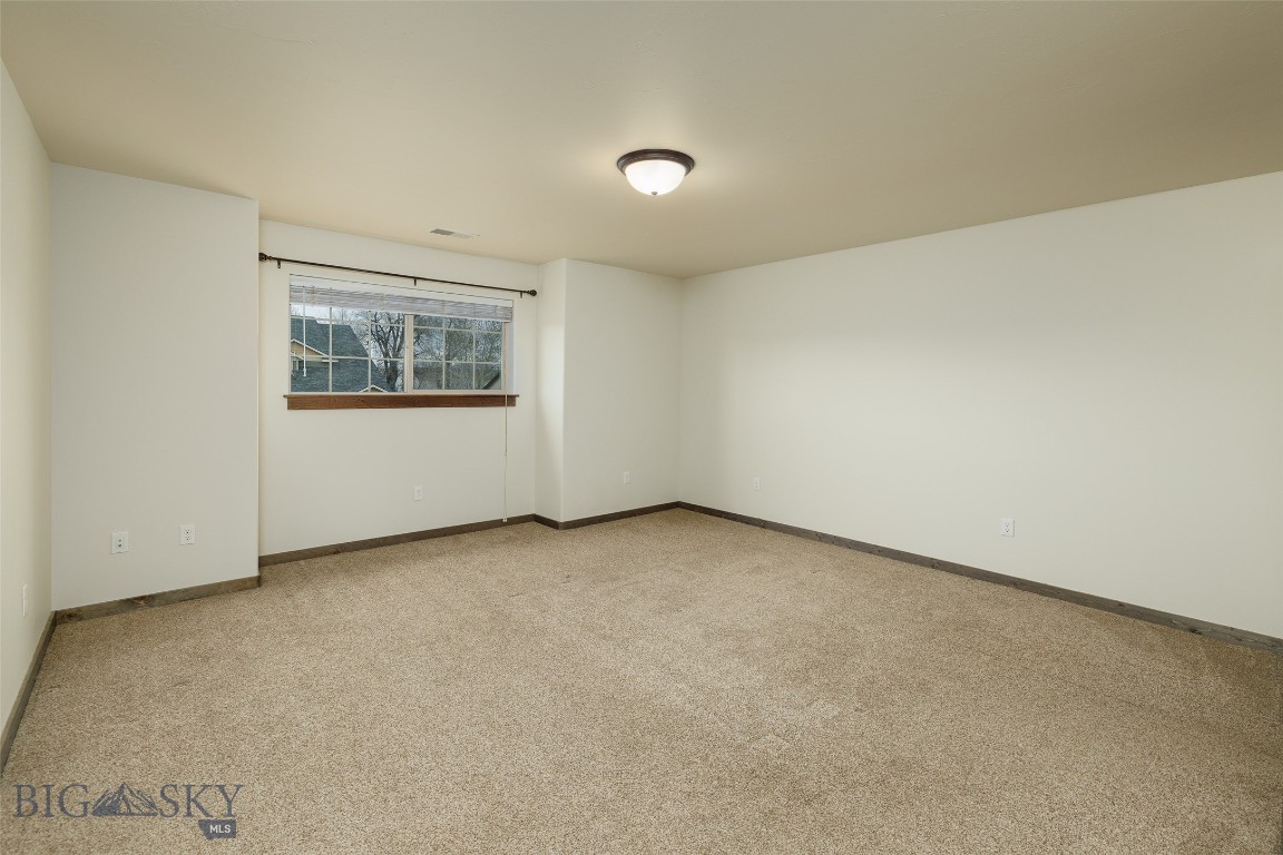 20 Prairie Grass B