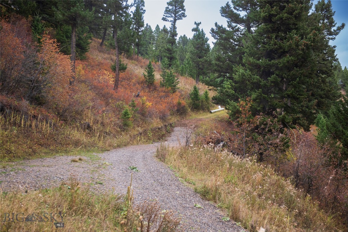 20 ac Alpine Springs Trail