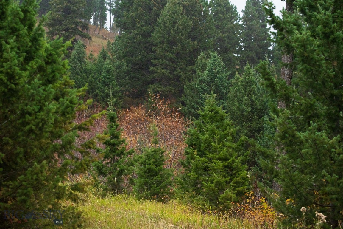 20 ac Alpine Springs Trail