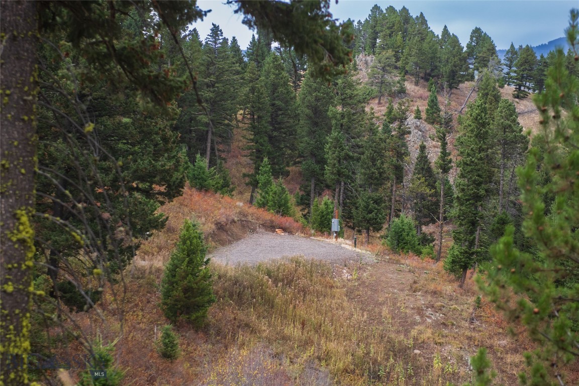 20 ac Alpine Springs Trail