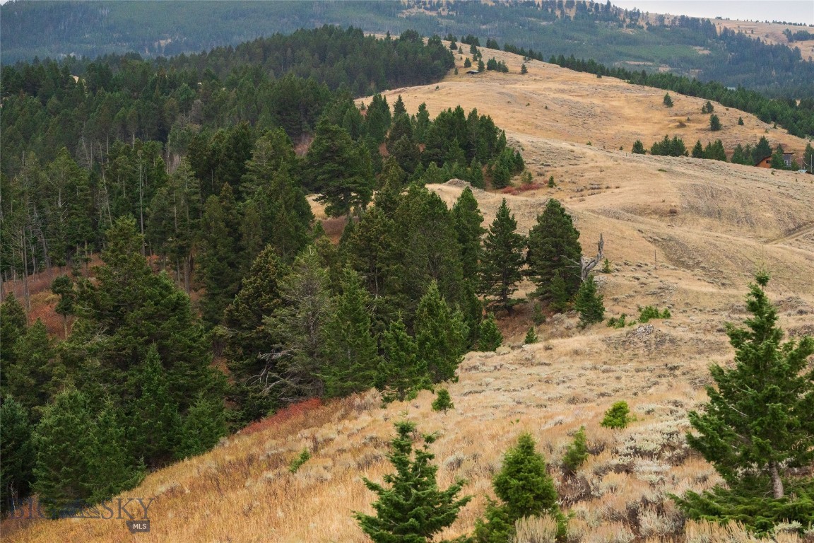 20 ac Alpine Springs Trail