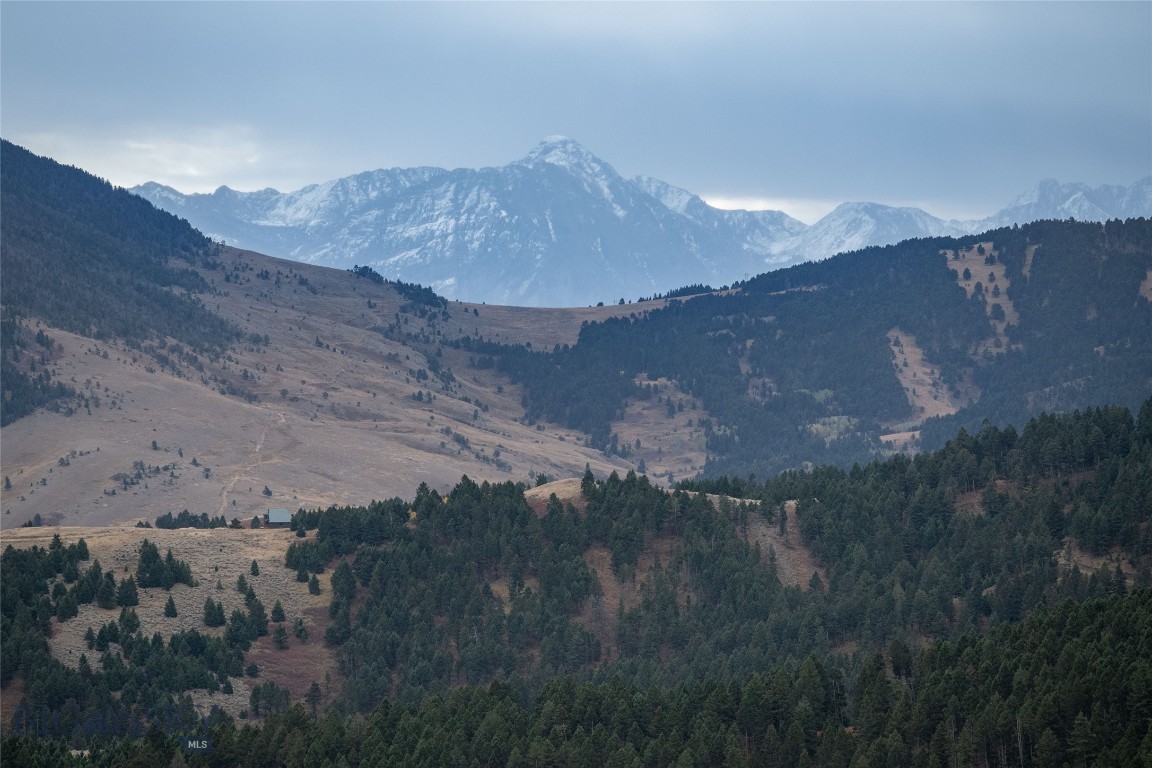 20 ac Alpine Springs Trail