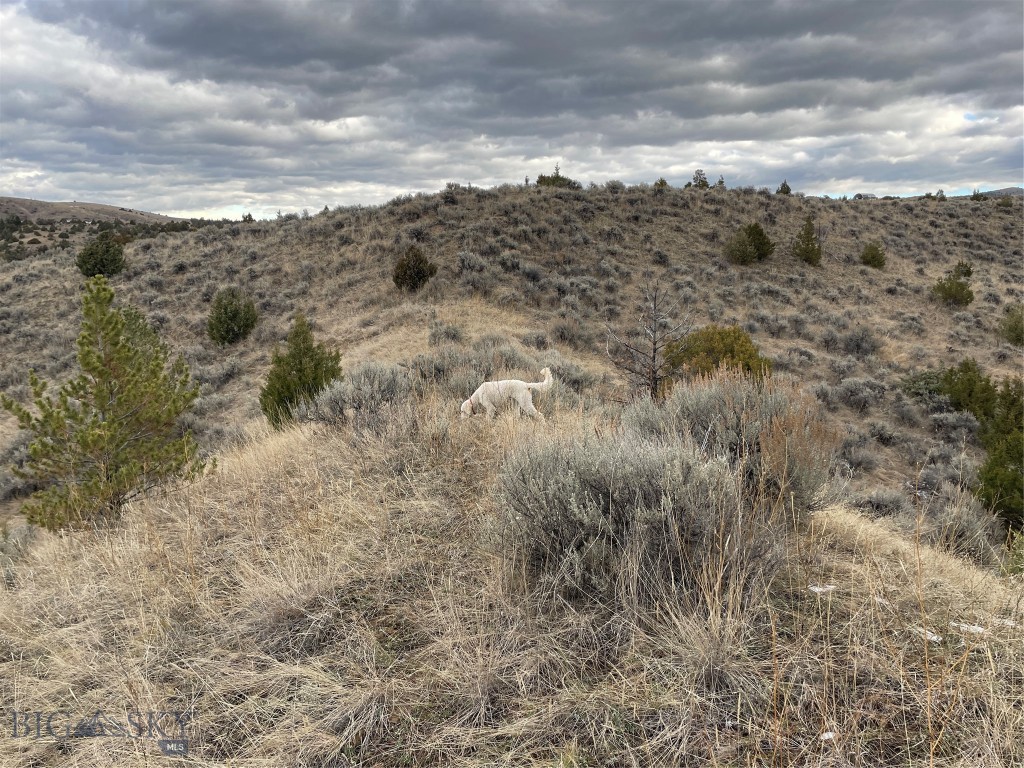 Lot 129 Round Pole Drive