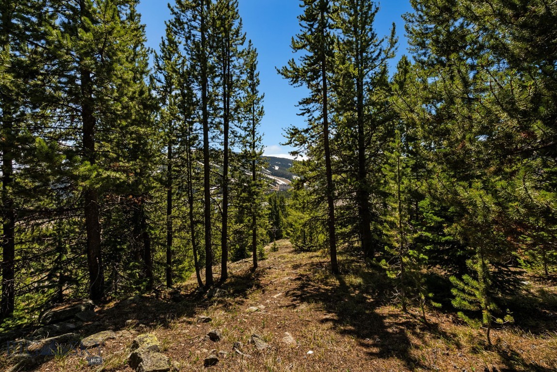 TBD Washakie Road