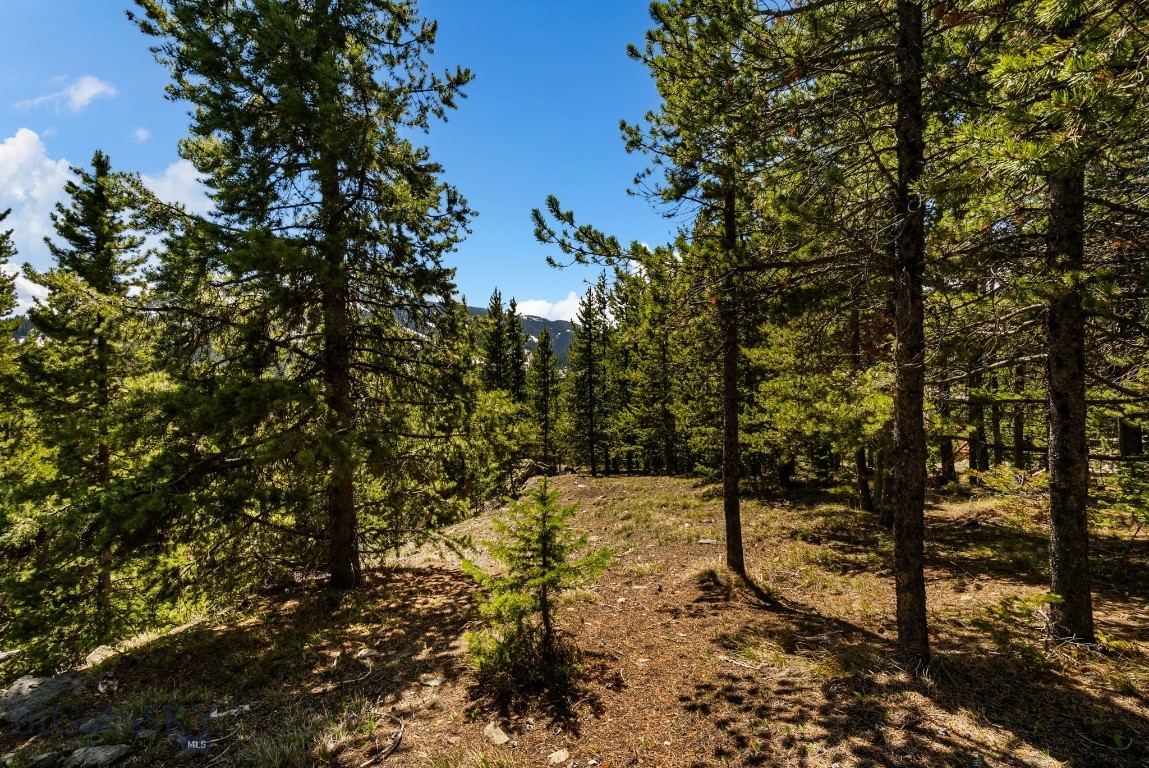 TBD Washakie Road