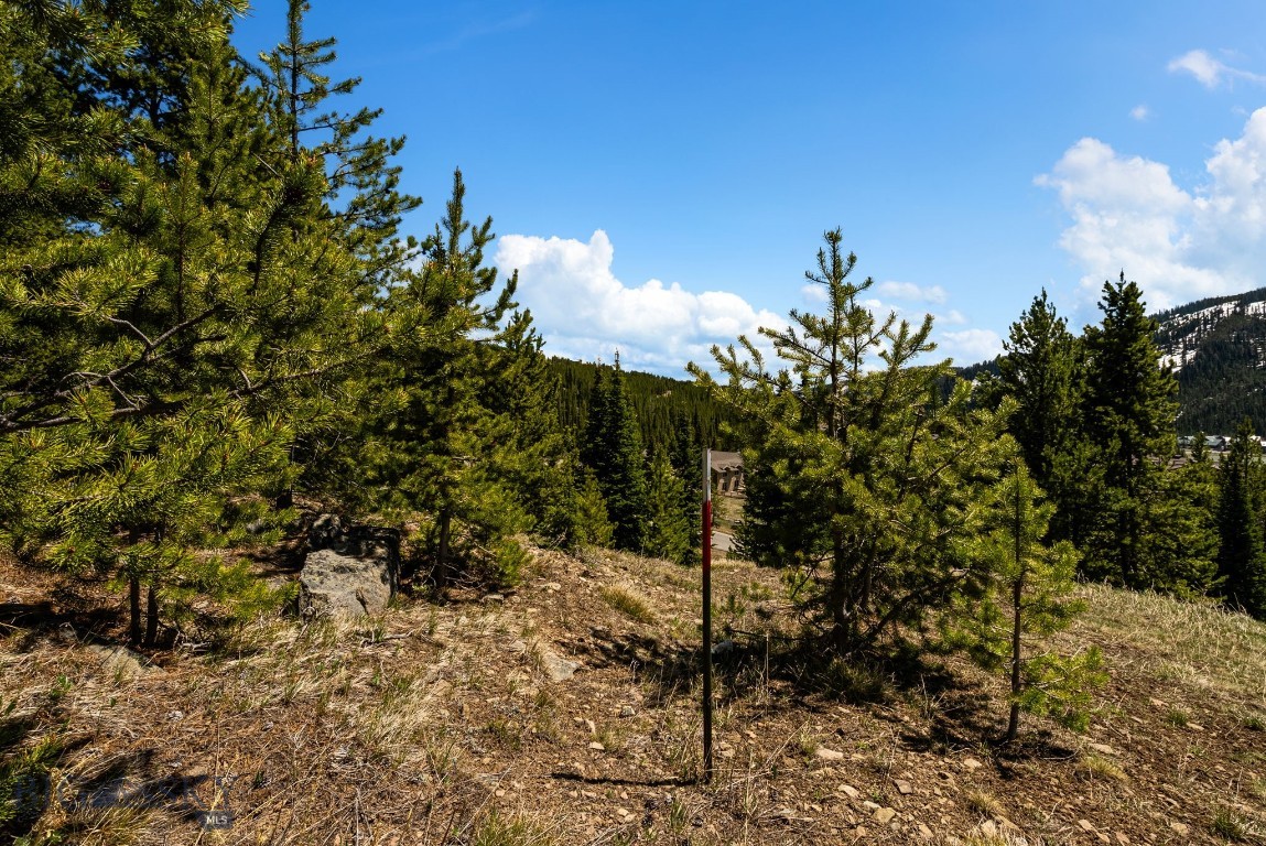 TBD Washakie Road