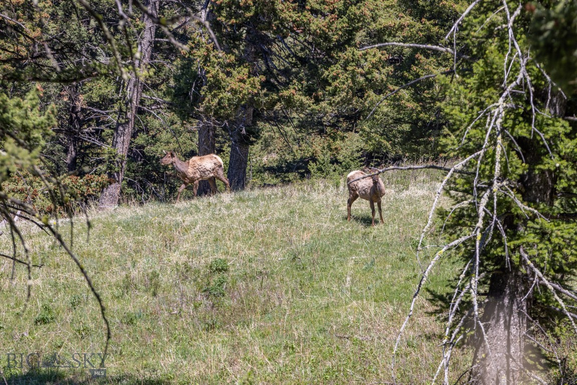 15 AC Elk Ridge Road