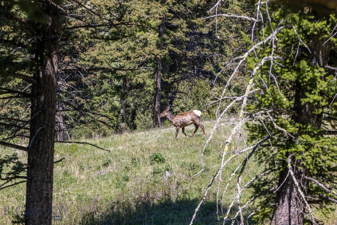 15 AC Elk Ridge Road