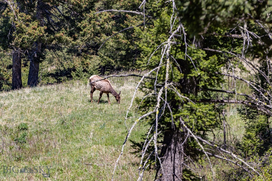 15 AC Elk Ridge Road