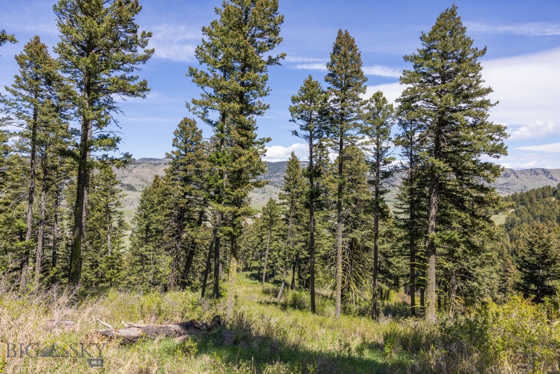 15 AC Elk Ridge Road