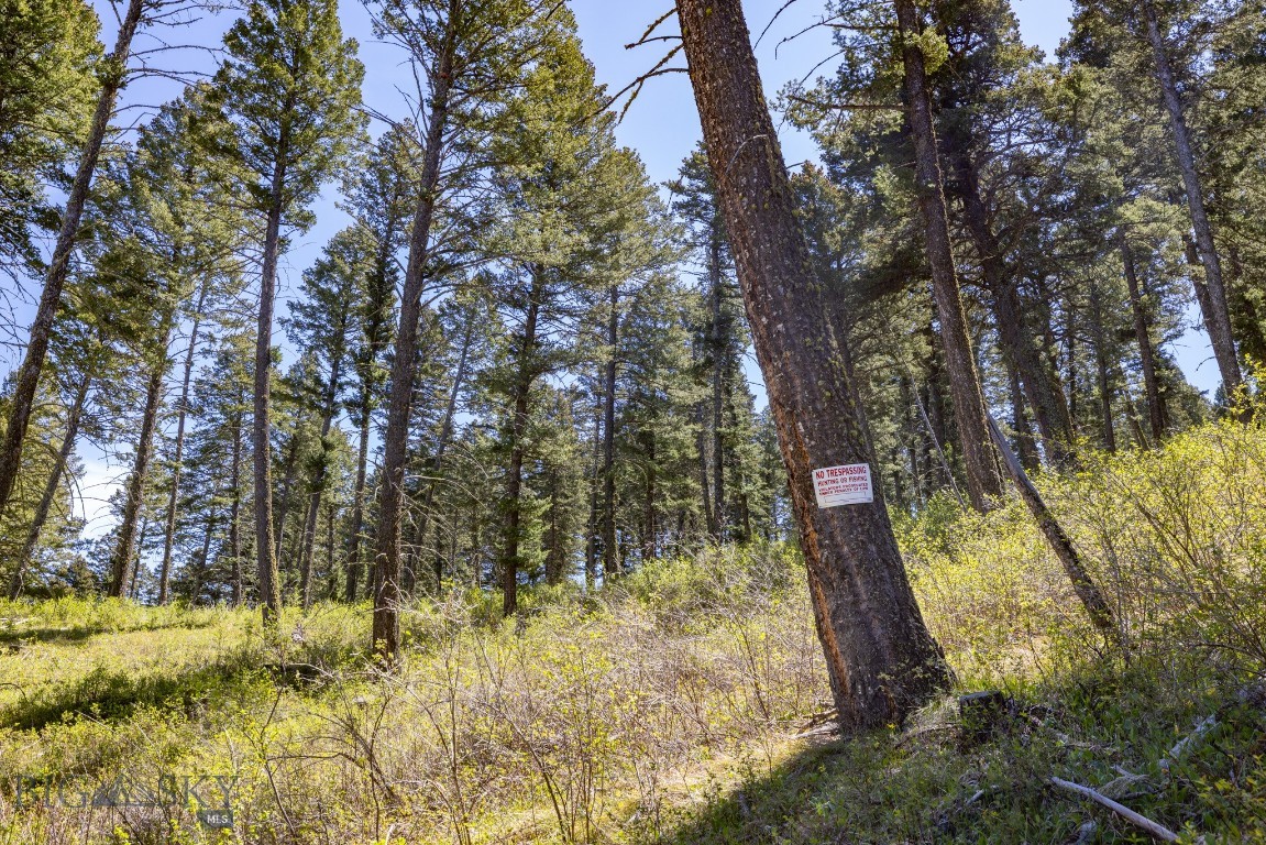 15 AC Elk Ridge Road