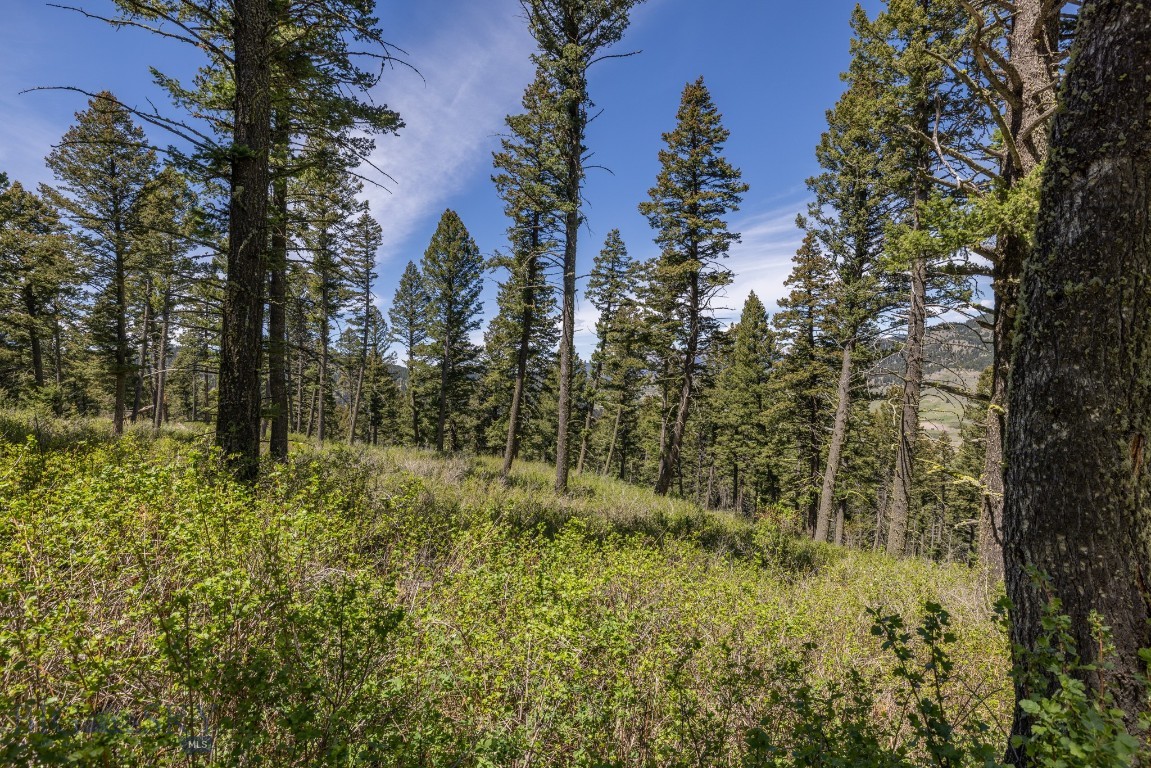 15 AC Elk Ridge Road