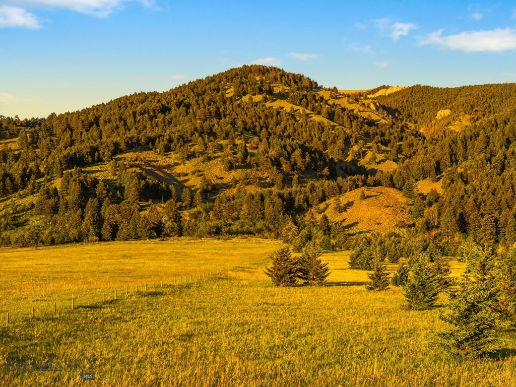 TBD Sypes Canyon Spur Road