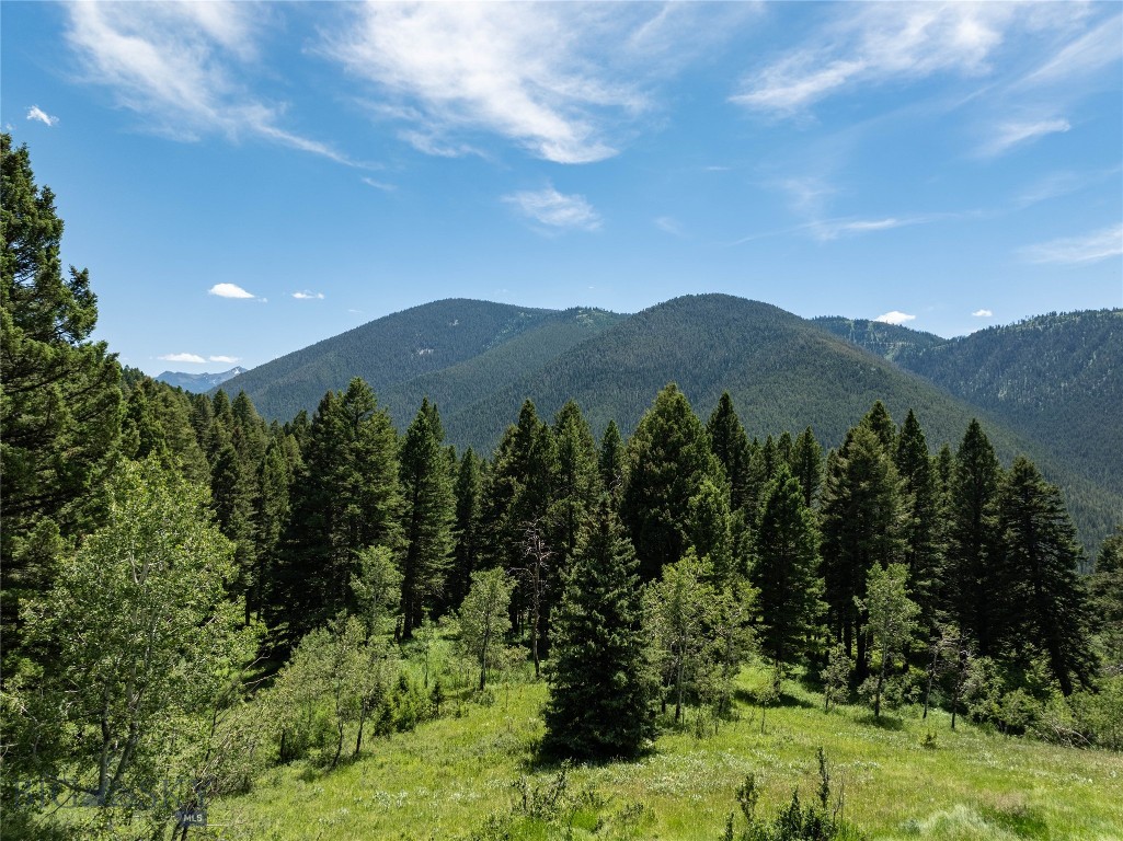4195 Cottonwood Ranch Trail