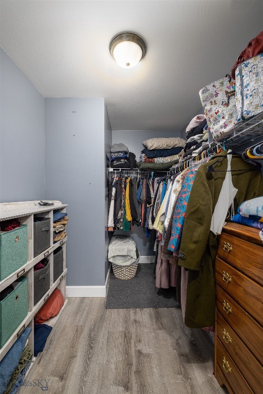 2226 Sturnella Lane
